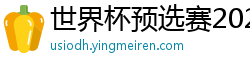 世界杯预选赛2024年赛程